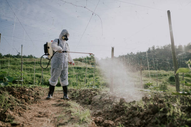 Best Ant Control Services  in Corry, PA