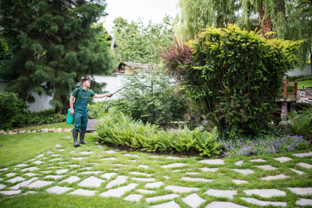 Best Pest Control for Businesses  in Corry, PA
