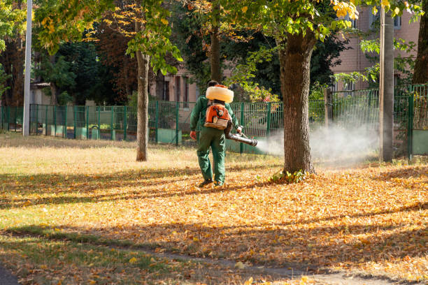 Best Pest Control Near Me in Corry, PA