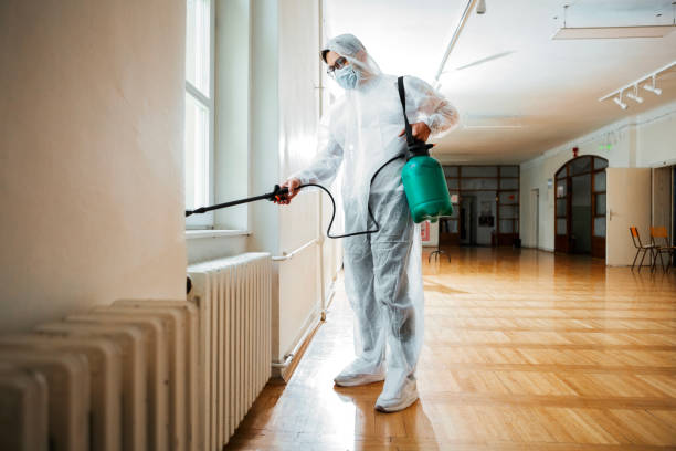 Best Exterminator Services  in Corry, PA