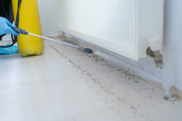 Best Pest Control Near Me  in Corry, PA