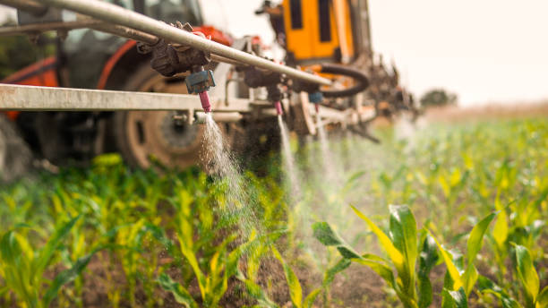 Best Mosquito Control Services  in Corry, PA