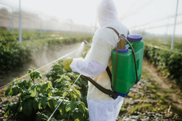 Best Residential Pest Control  in Corry, PA
